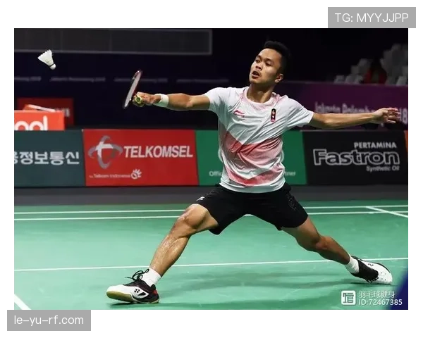 精彩赛季回顾：稳健表现铸就高光时刻，突破瞬间引关注